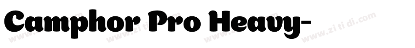 Camphor Pro Heavy字体转换